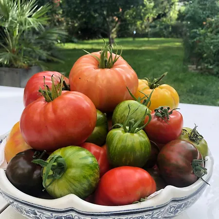 Chez Nathalie * Chatillon (Hauts-de-Seine)